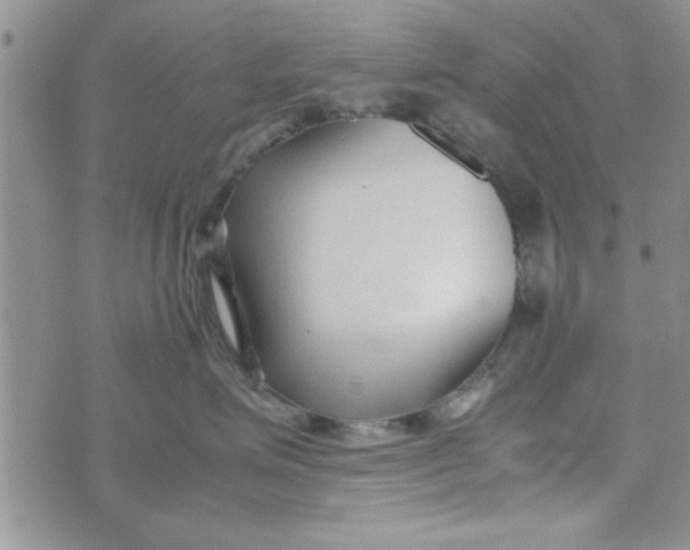 X0000074330623200609152058