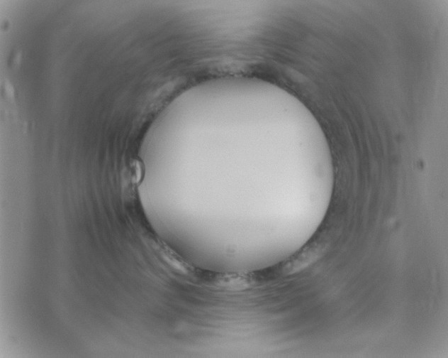 X0000074330624200609152058