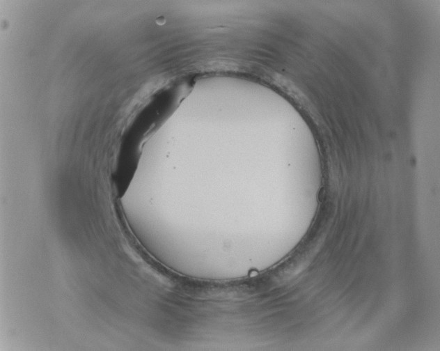 X0000074330625200609152057