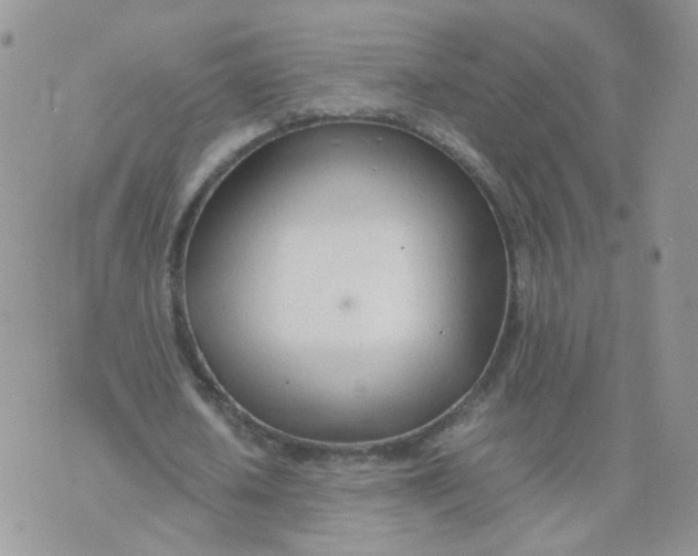 X0000074330626200609152057