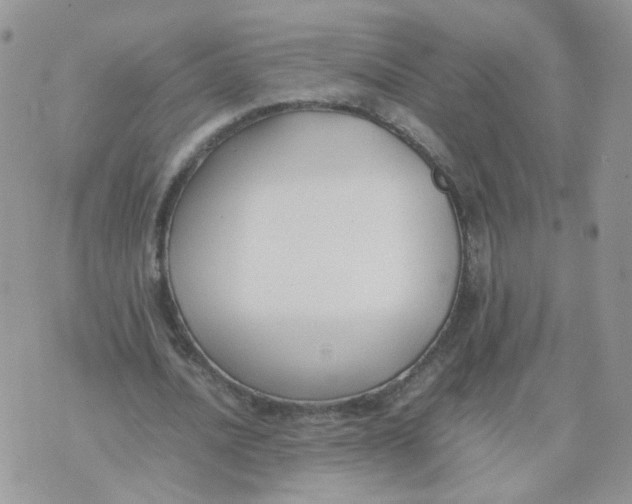 X0000074330628200609152058