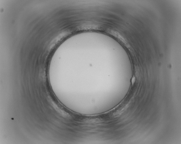 X0000074330629200609152058