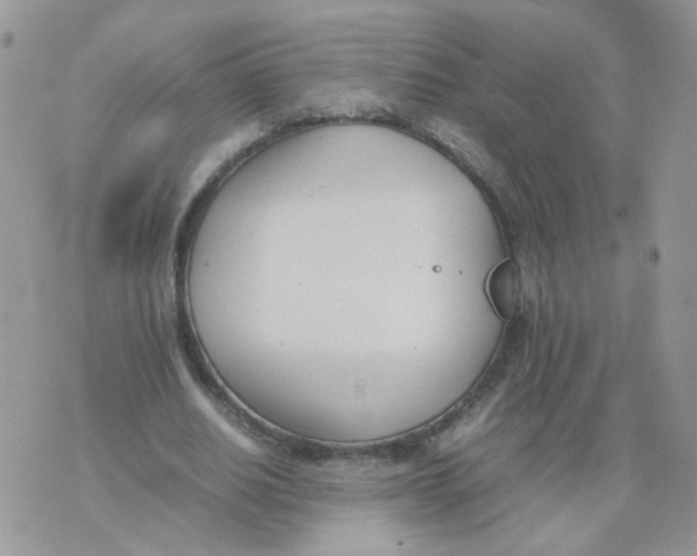 X0000074330630200609152058