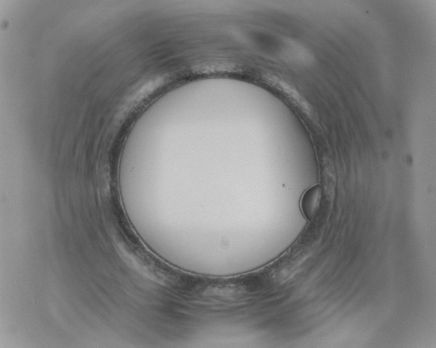 X0000074330631200609152058