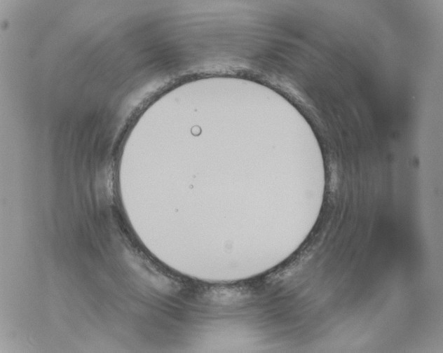 X0000074330632200609152058