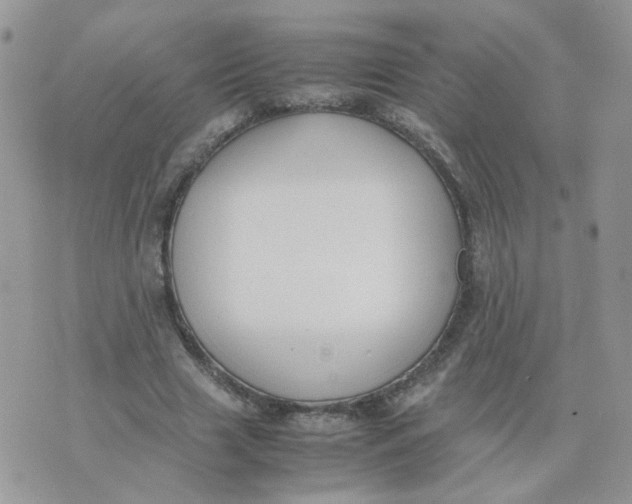 X0000074330633200609152058