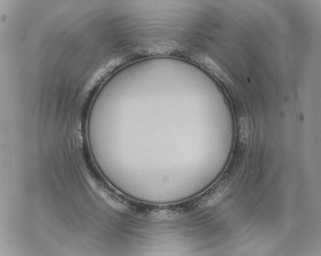 X0000074330634200609152058