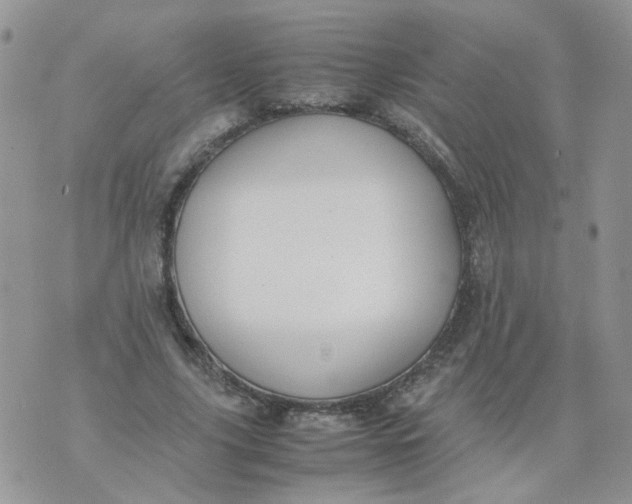 X0000074330635200609152058