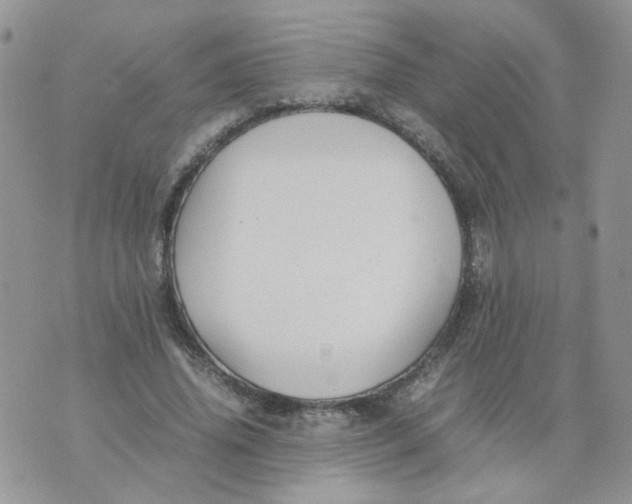 X0000074330636200609152058