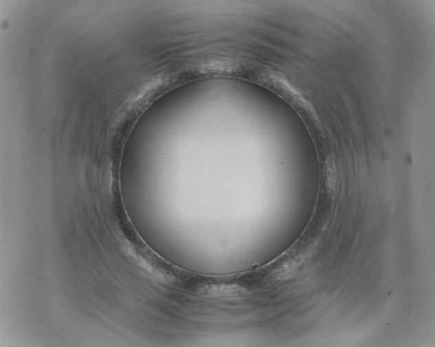 X0000074330637200609152058