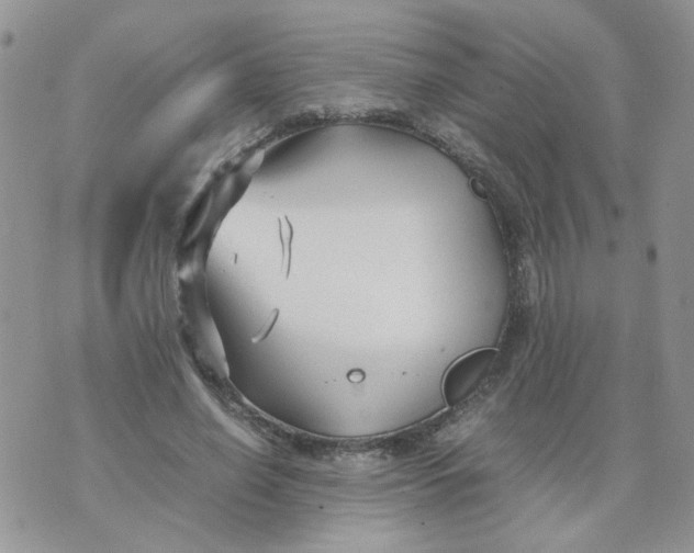 X0000074330638200609152058