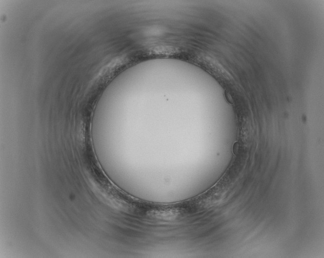 X0000074330639200609152058