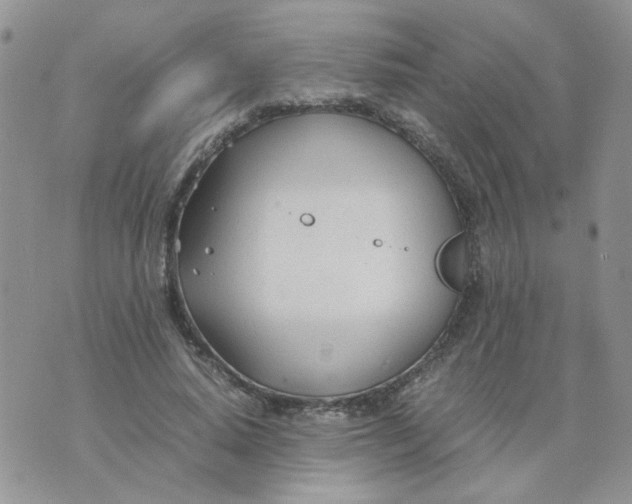 X0000074330640200609152058