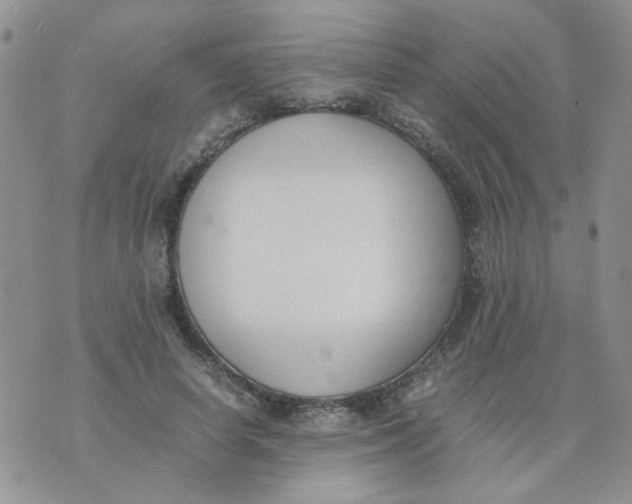 X0000074330642200609152058