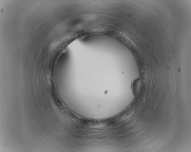 X0000074330643200609152058