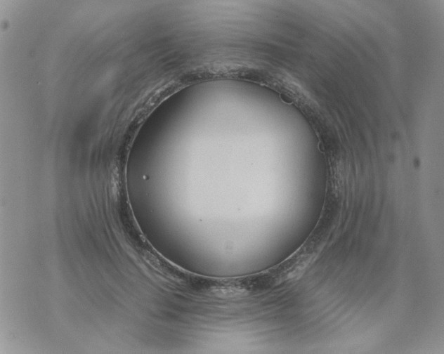 X0000074330644200609152058