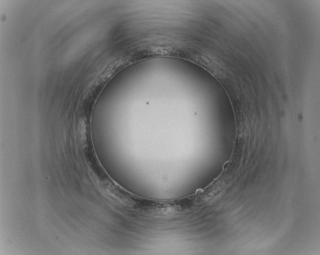 X0000074330646200609152058