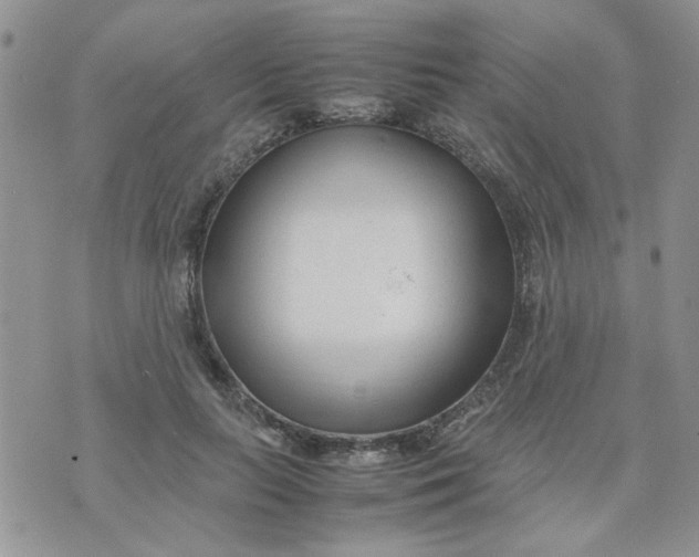 X0000074330647200609152058