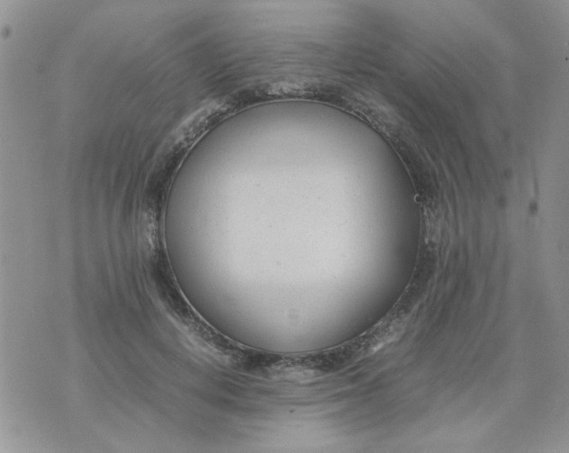 X0000074330648200609152058