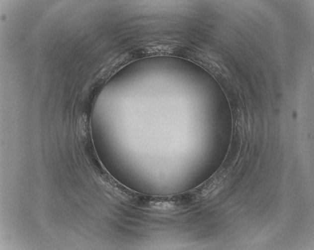 X0000074330649200609152058