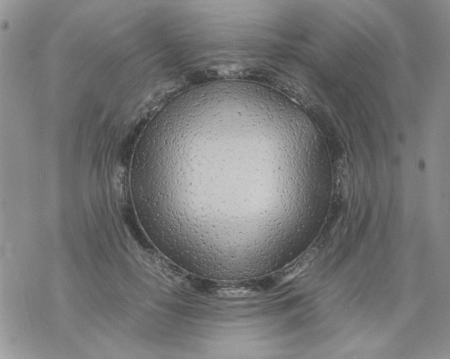 X0000074330650200609152058