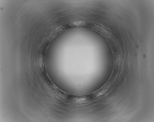 X0000074330651200609152058