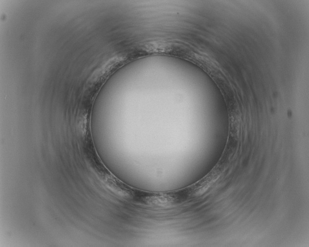 X0000074330652200609152058