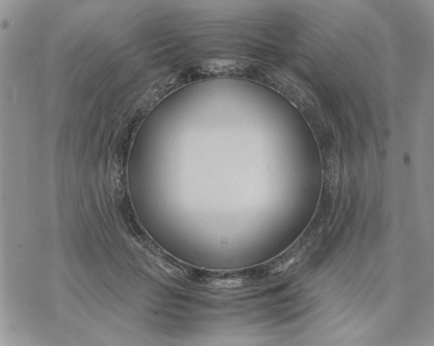 X0000074330653200609152058