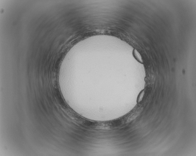 X0000074330656200609152058