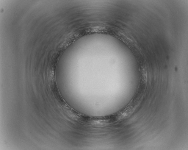 X0000074330657200609152058