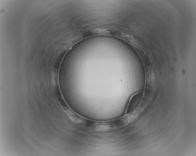 X0000074330658200609152058