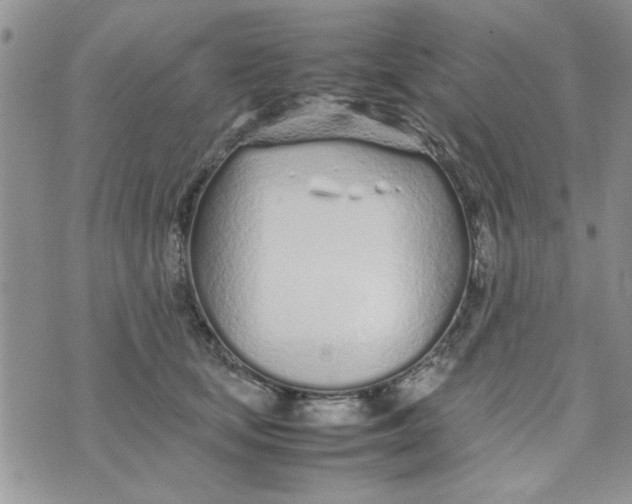 X0000074330659200609152058