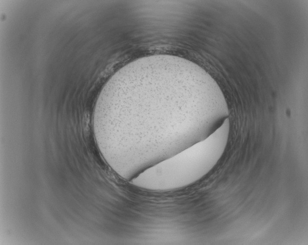 X0000074330660200609152058