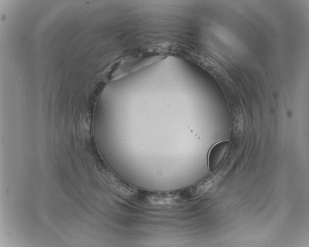 X0000074330661200609152058