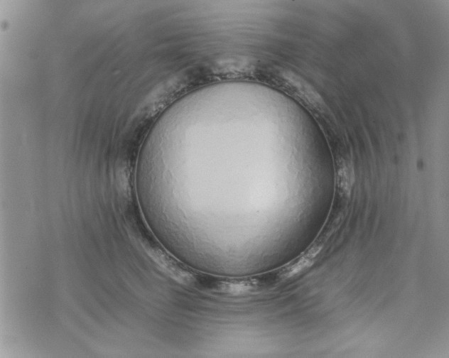 X0000074330662200609152058