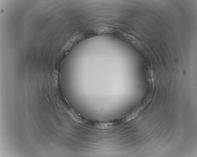 X0000074330664200609152058