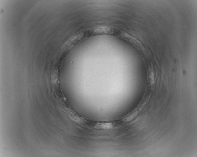 X0000074330665200609152058