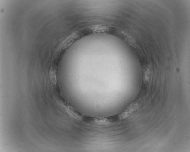 X0000074330666200609152058