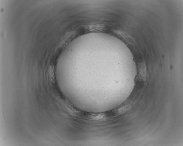 X0000074330667200609152058