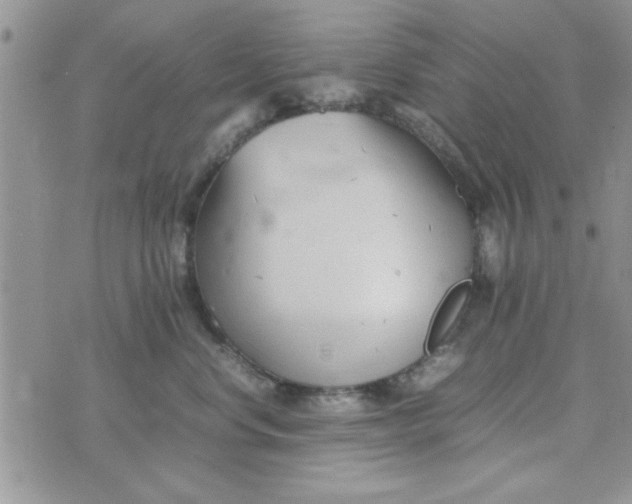 X0000074330668200609152058