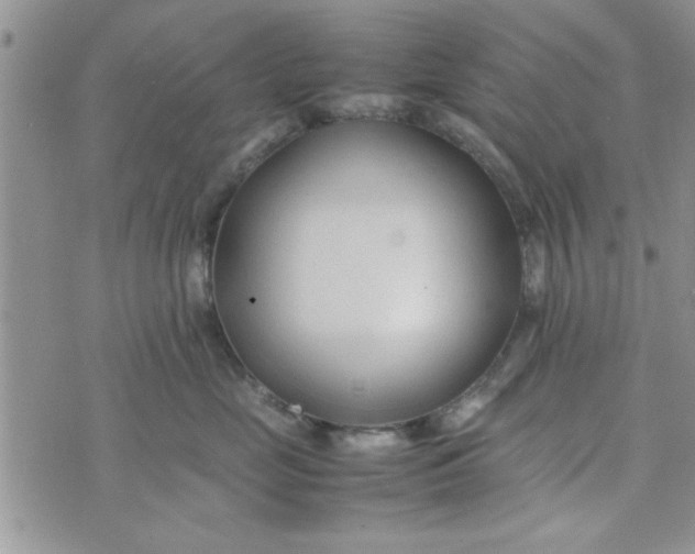 X0000074330669200609152058