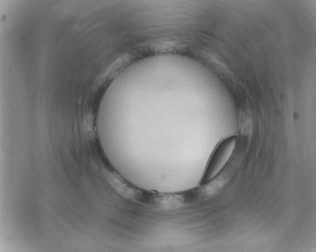 X0000074330670200609152058