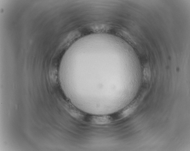 X0000074330671200609152058