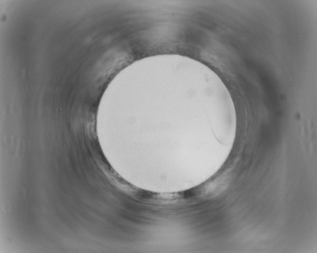 X0000074330672200609152058