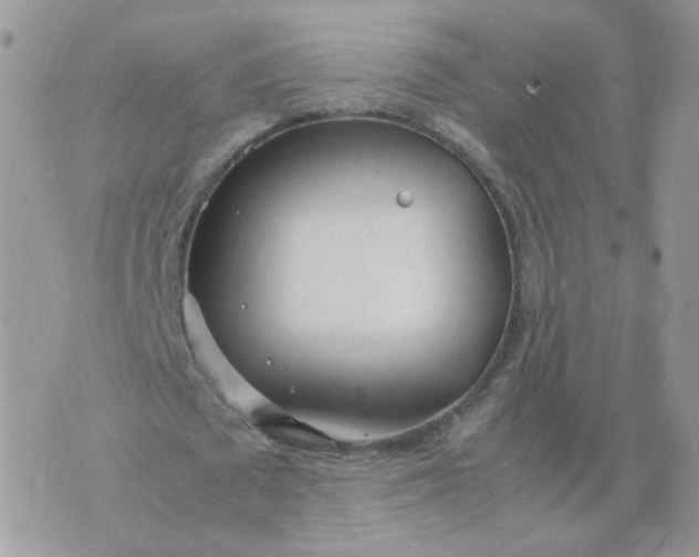 X0000074330673200609152057