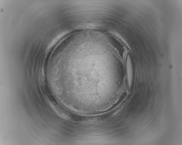 X0000074330674200609152057