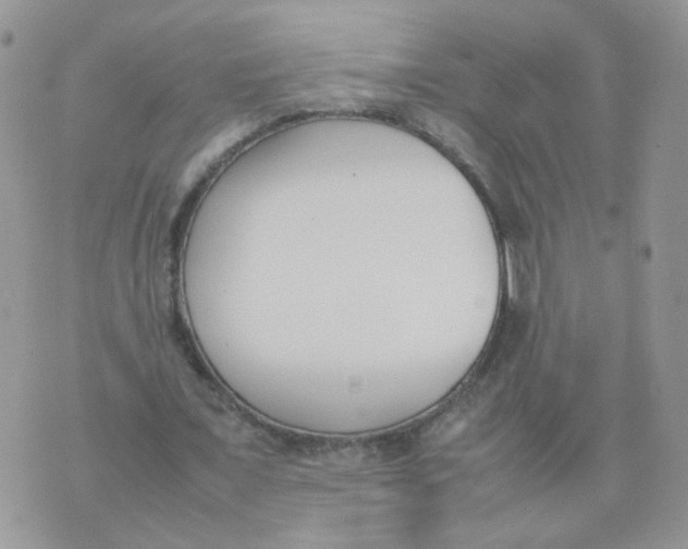 X0000074330675200609152057