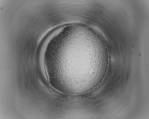 X0000074330676200609152057