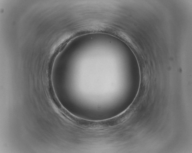 X0000074330677200609152057