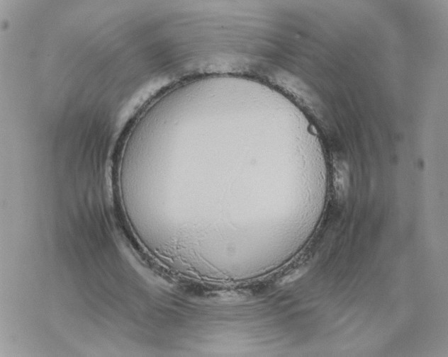 X0000074330678200609152057